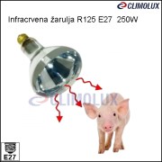 5328-infracrvena-zarulja-infraclear-r125-250w-e27/zarulja-ifracrvena-bistra-r125-e27-250w-795734-clim-002